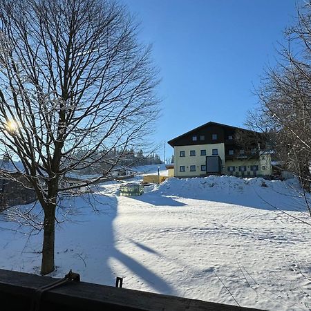 Ferienwohnung Mitterdorf Almberg X29 Mitterfirmiansreut Exterior foto