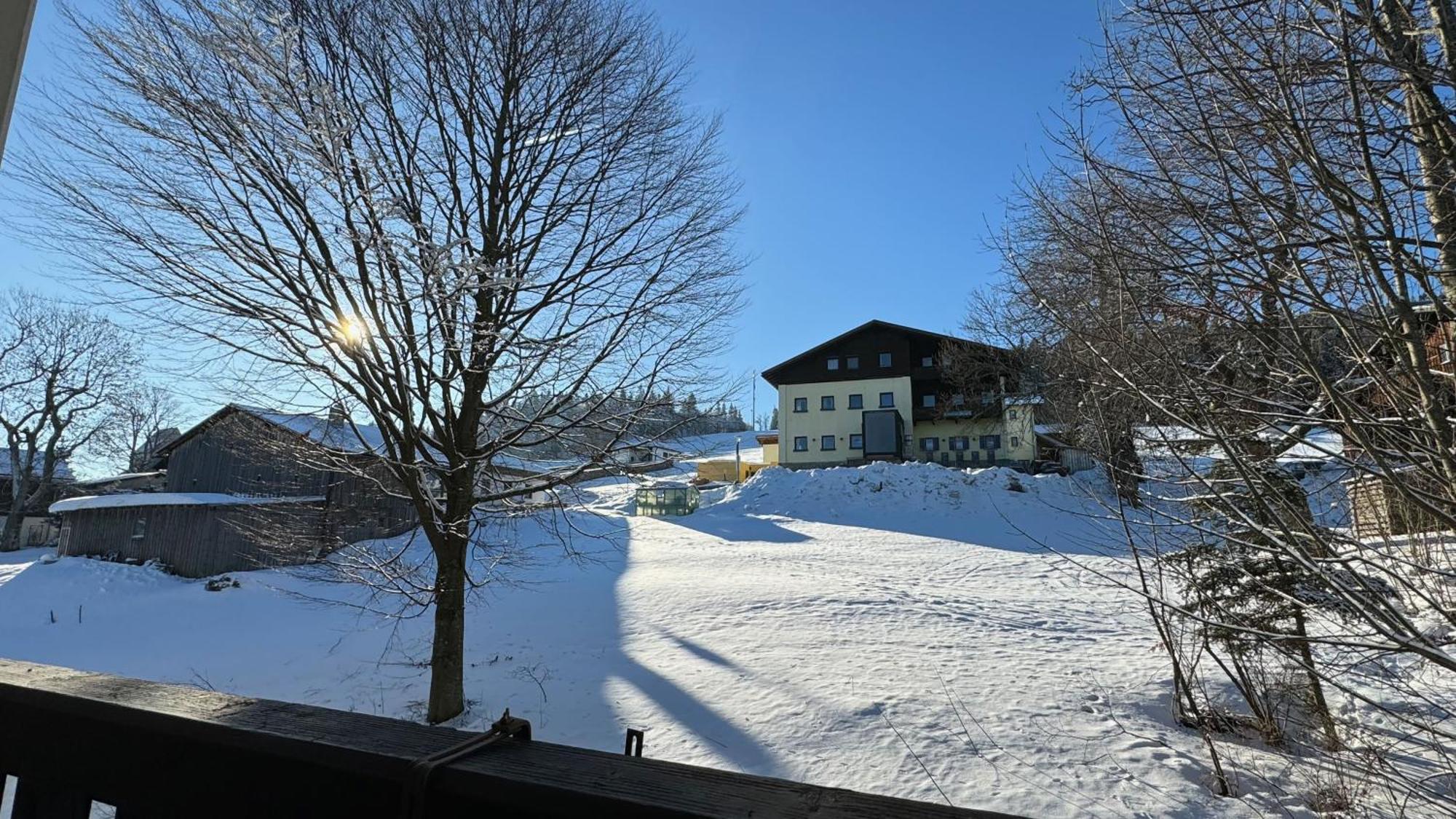 Ferienwohnung Mitterdorf Almberg X29 Mitterfirmiansreut Exterior foto